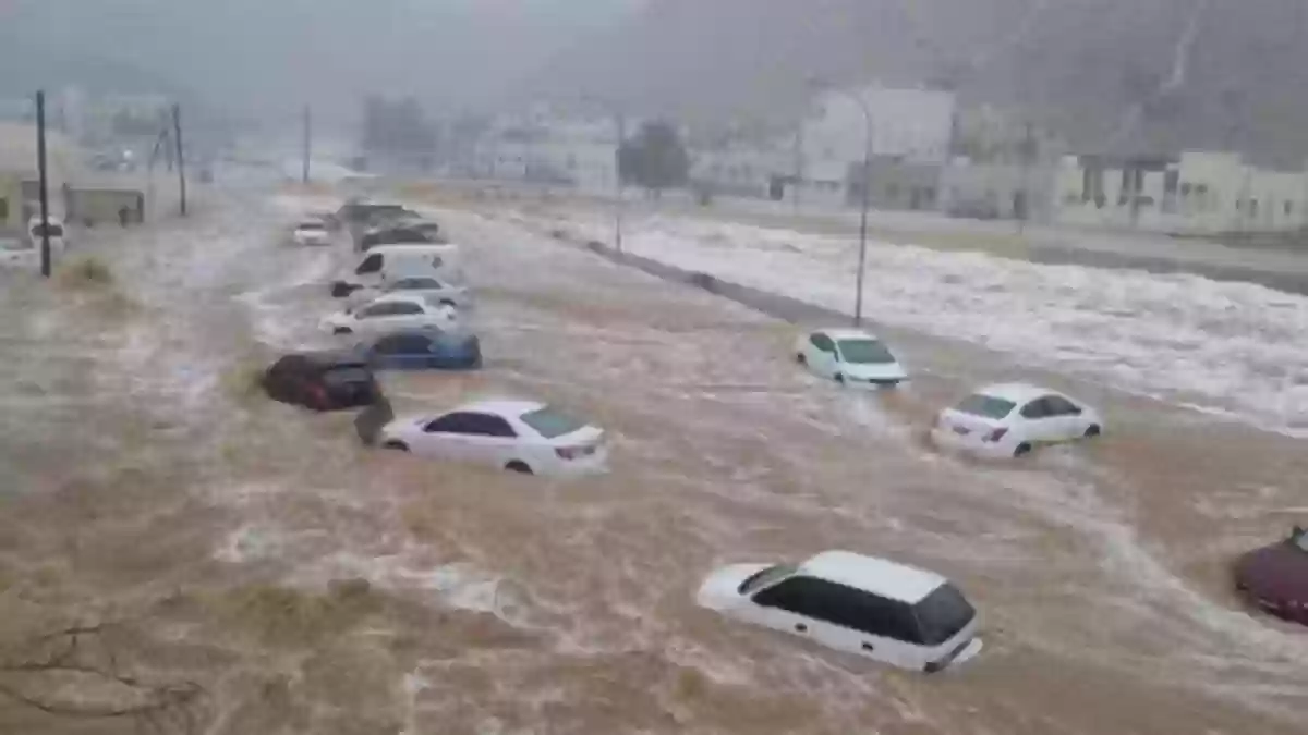 بدولة خليجية.. سيول شديدة تجرف الحيوانات وأشجار النخيل وتقتحم المنازل