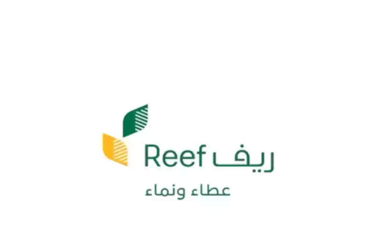 رابط استعلام عن دعم ريف برقم الهوية reef.gov.sa والشروط