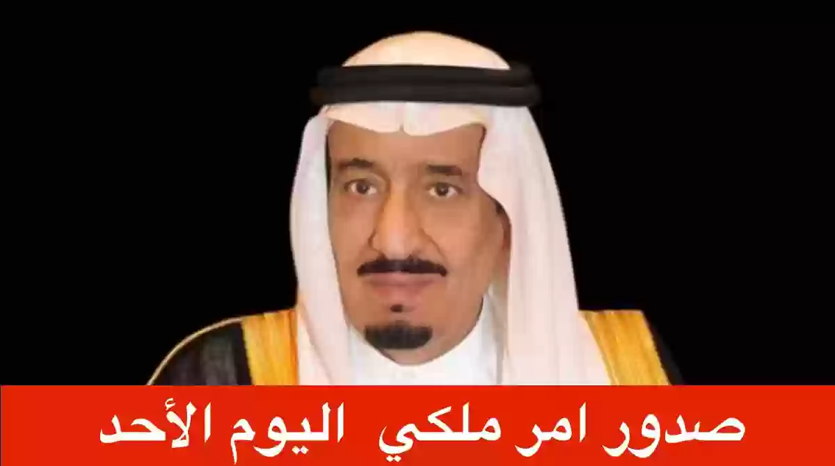 امر ملكي جديد من الملك سلمان