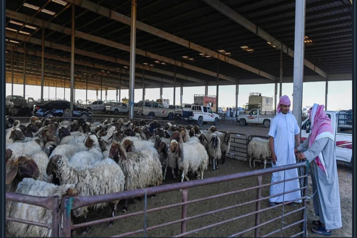 أسواق المواشي بمنطقة الباحة