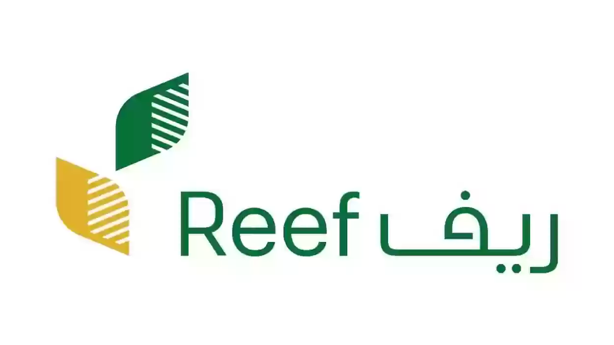 رابط ريف reef.gov.sa لدعم الأسر المنتجة في السعودية .. الشروط والأوراق المطلوبة